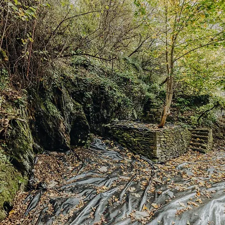 Apartamento Mansio *