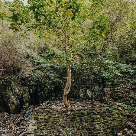 Mansio Apartamento *